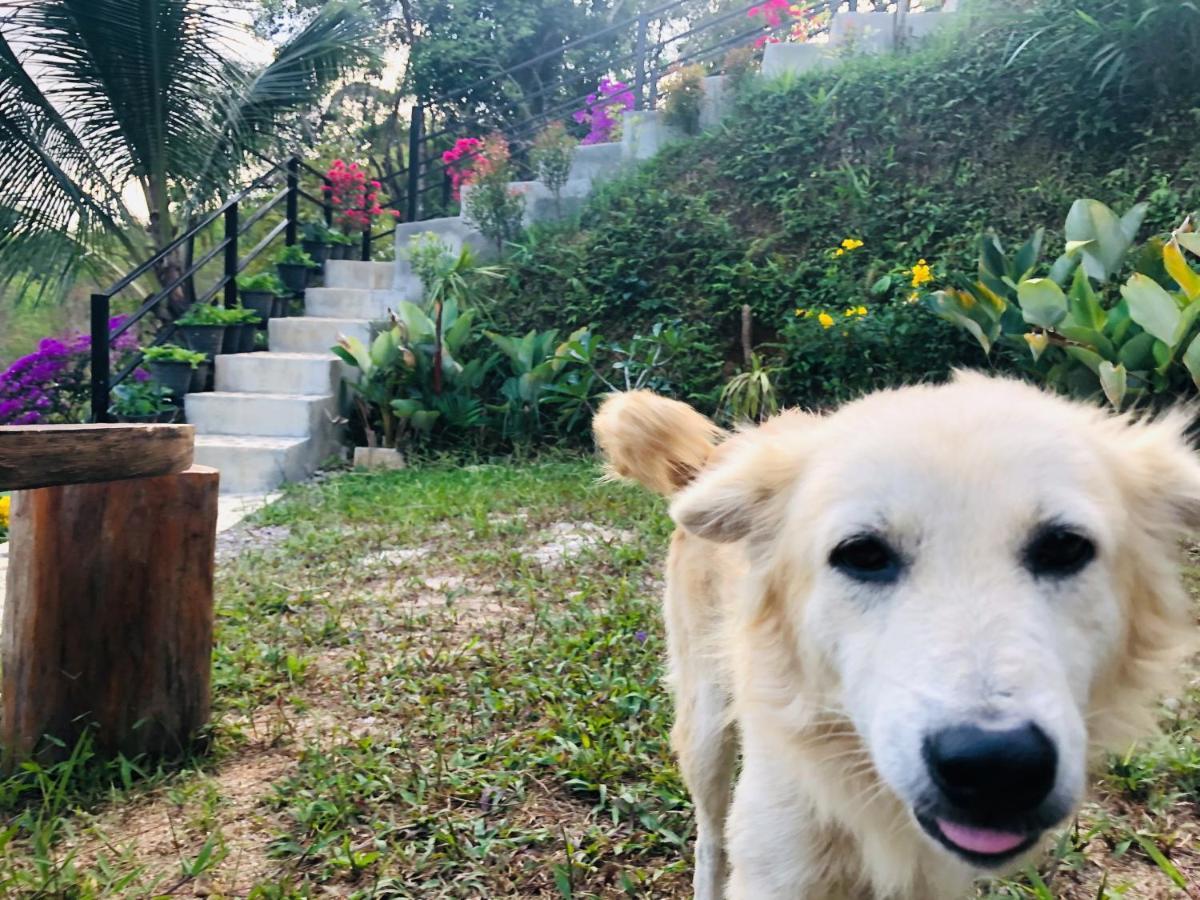 Baanhatsompaen Homestay ラノーン エクステリア 写真