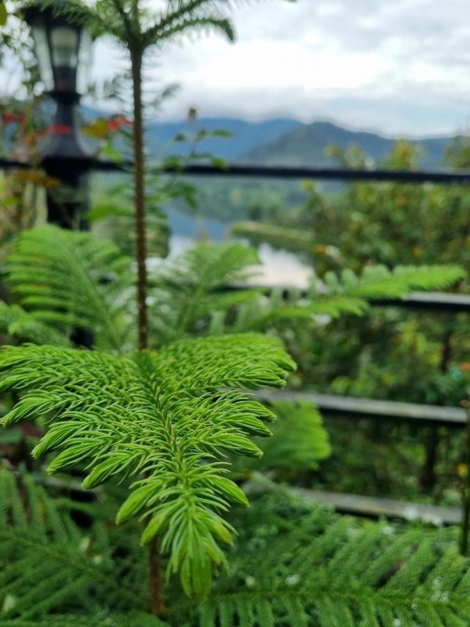 Baanhatsompaen Homestay ラノーン エクステリア 写真